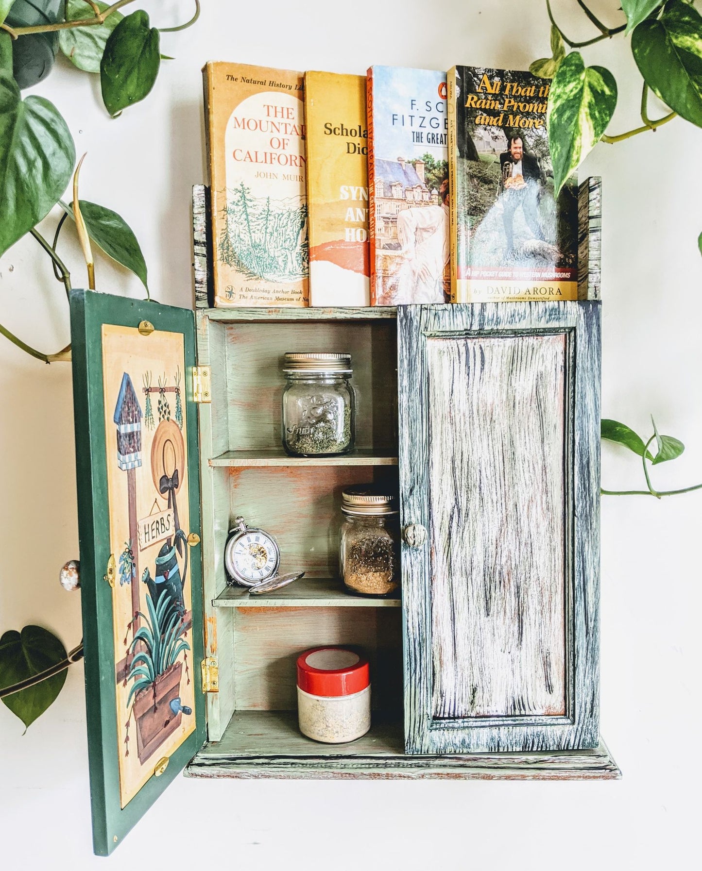 The Forest Ranger Cupboard