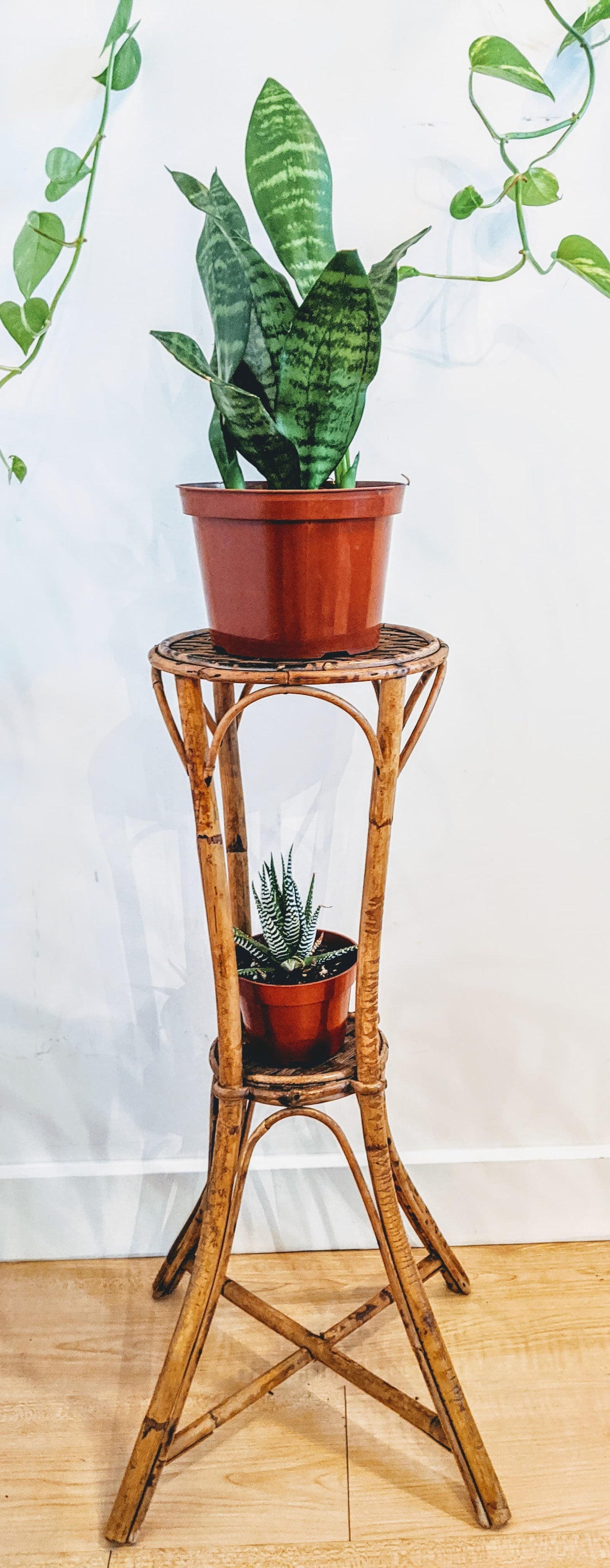 The Wendy Plant Stand
