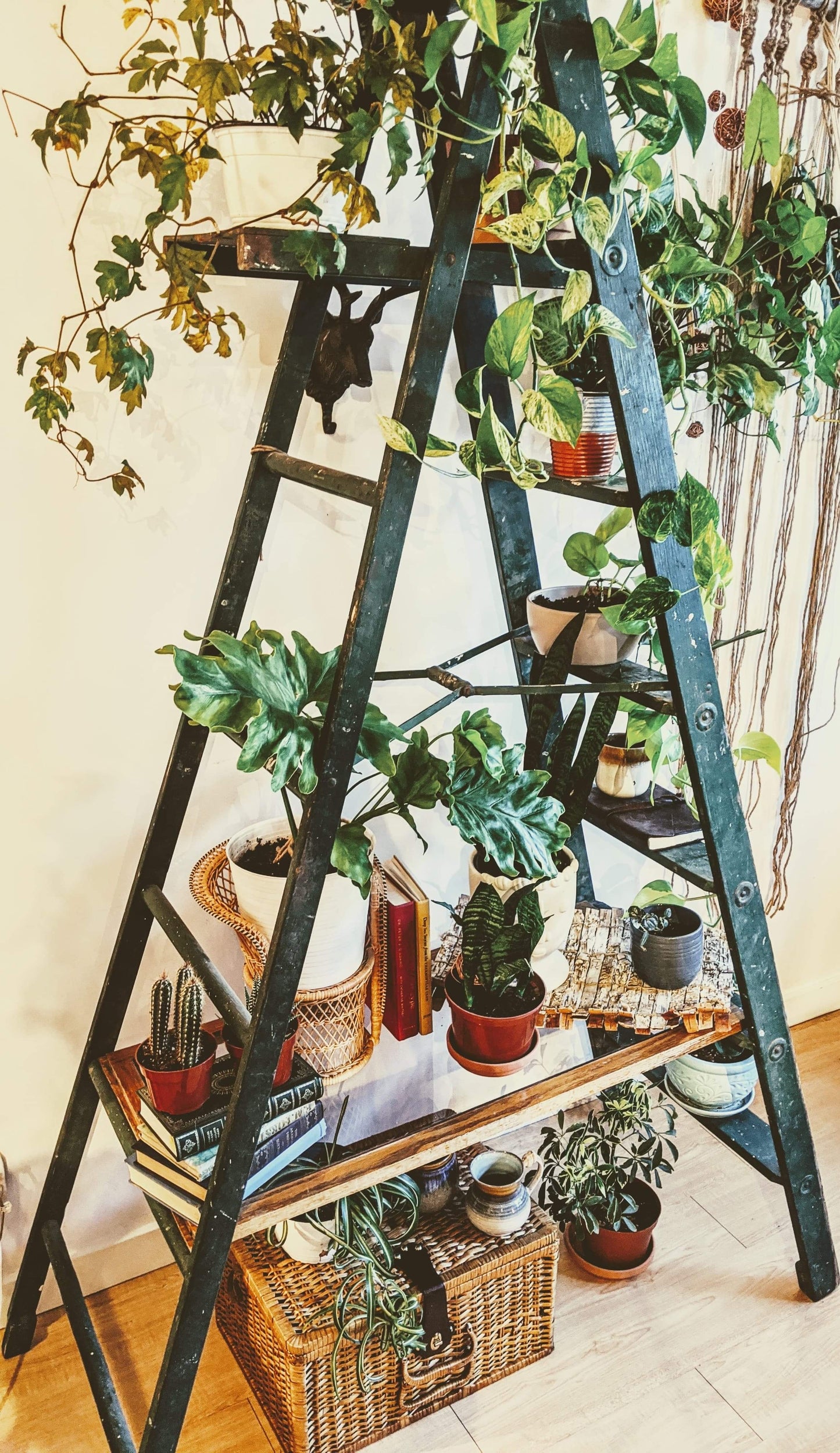 The Forest Green Ladder Shelf