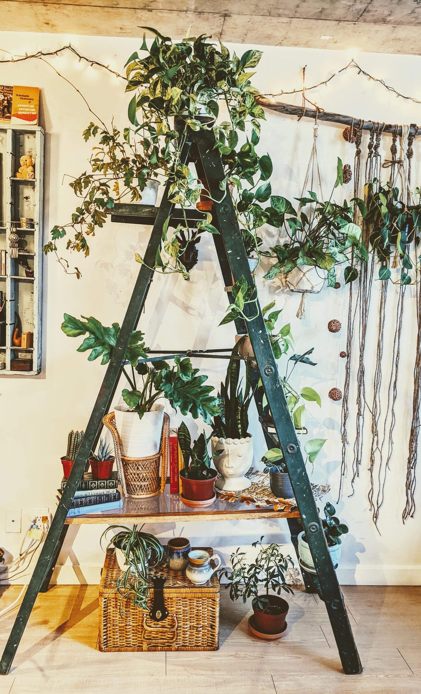 The Forest Green Ladder Shelf