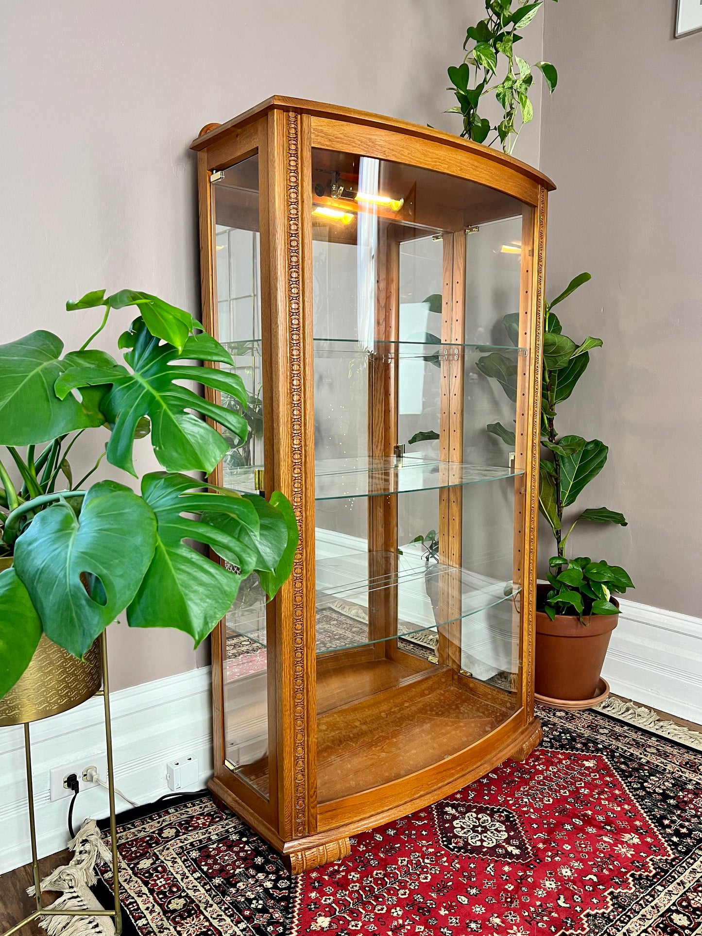 The Tussock Display Cabinet