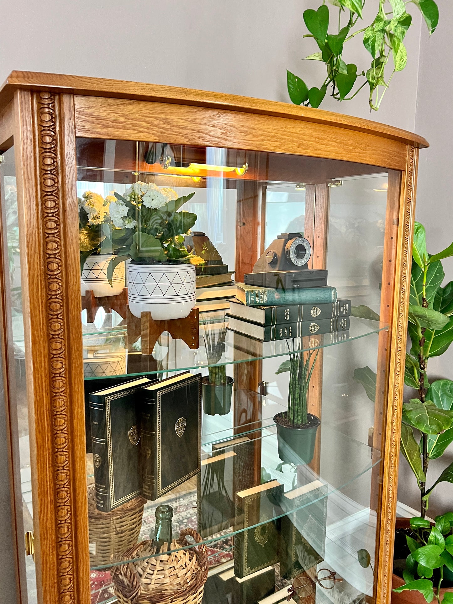The Tussock Display Cabinet