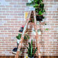 Vintage Ladder Shelf Paint Splatter Plants Victoria BC Secondhand