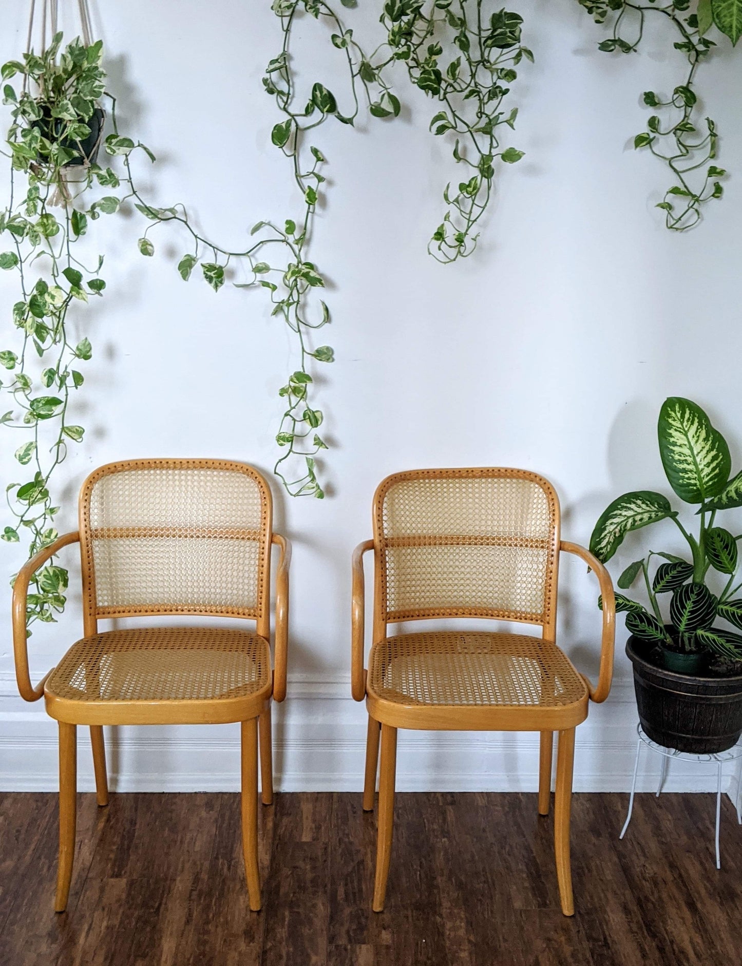 The Prague Bentwood Chairs(Only 1 left!)