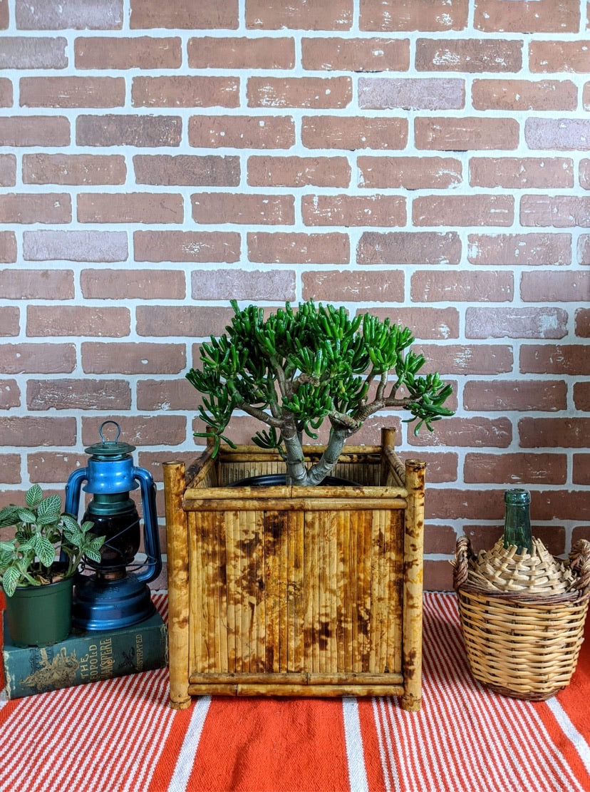 The Burnt Bamboo Square Planter