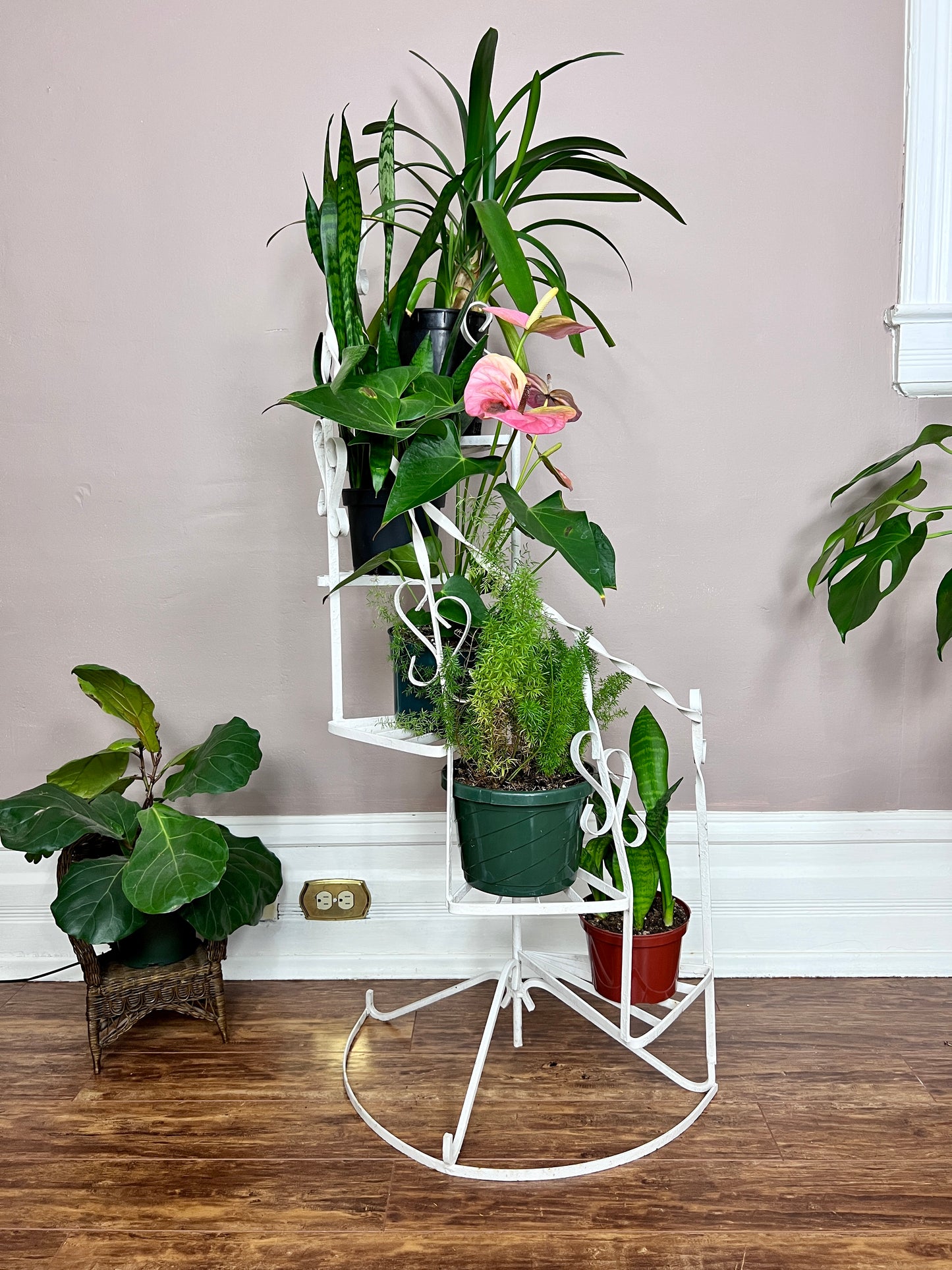 The Spiral Staircase Plant Stand