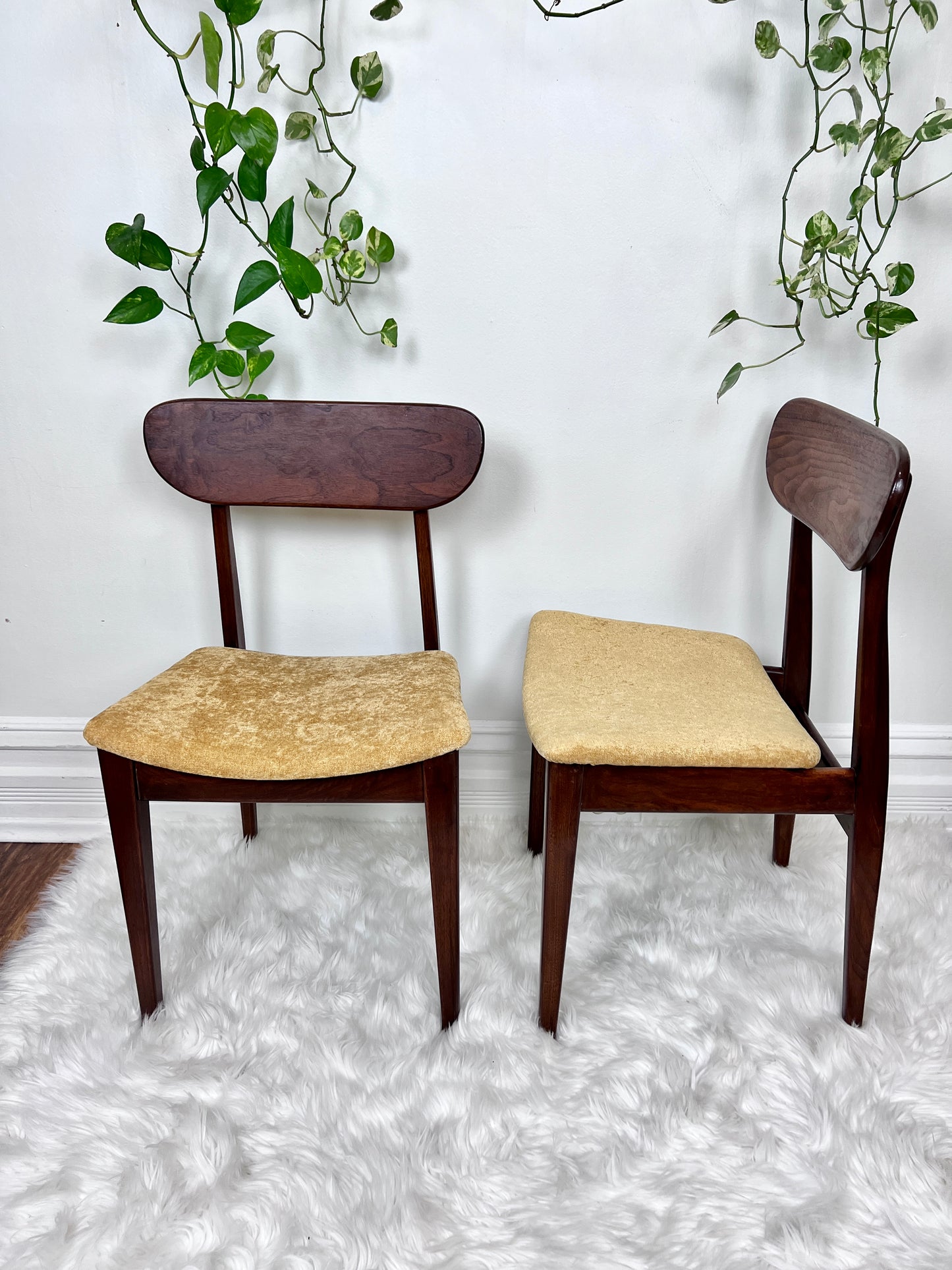 The Valmar Chairs